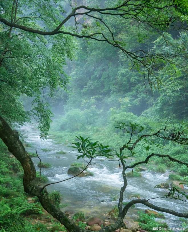 5天4晚高端团千元左右享品质亲子游开元k