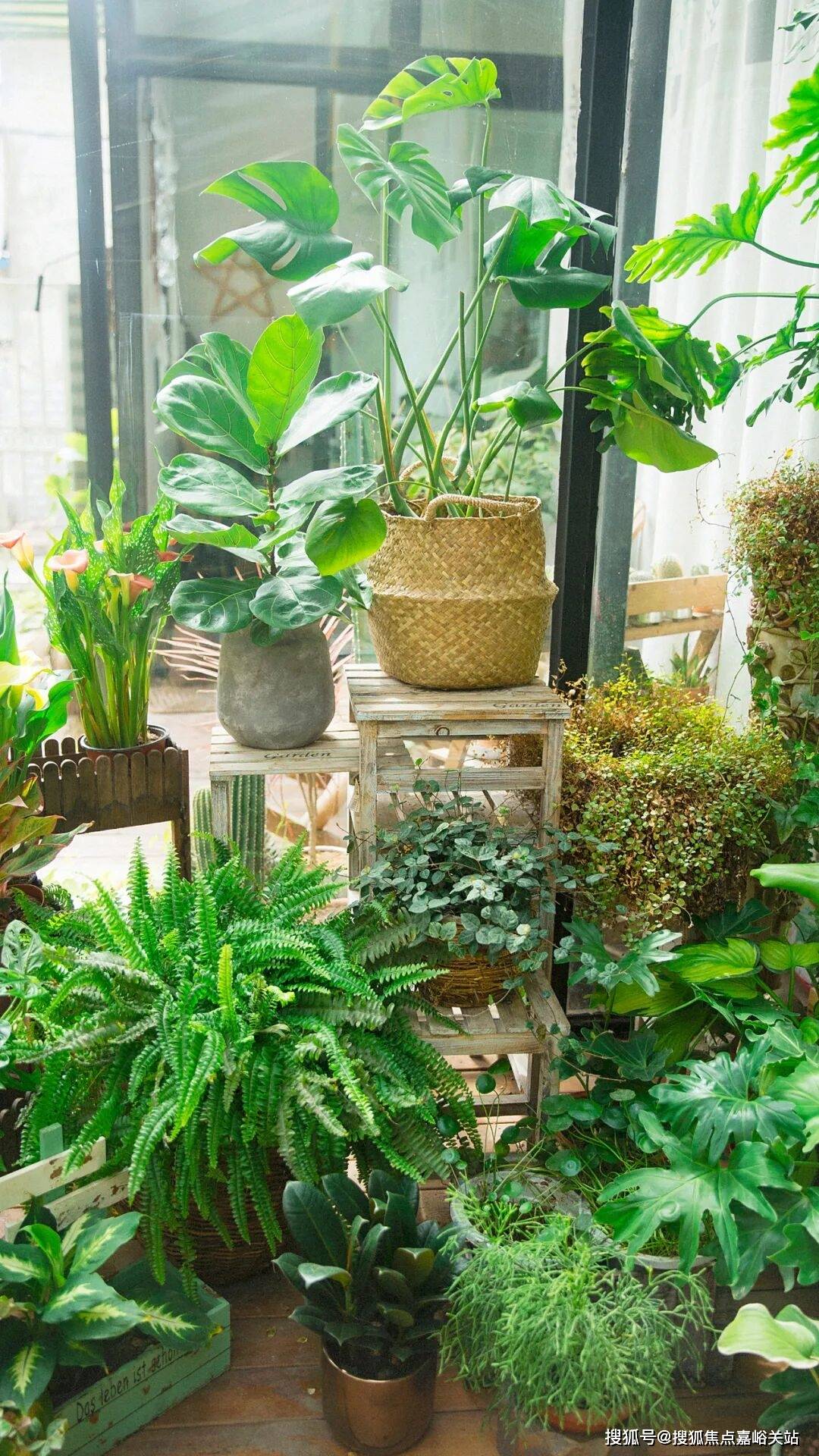 售楼处电话-电话地址-价格-户型-小区环境-楼盘详情-交房时间-周边配套开元棋牌五个院子别墅(营销中心)网站-五个院子别墅销售中心(售楼处)-(图6) 售楼处电话-电话地址-价格-户型-小区环境-楼盘详情-交房时间-周边配套开元棋牌五个院子别墅(营销中心)网站-五个院子别墅销售中心(售楼处)-(图6)